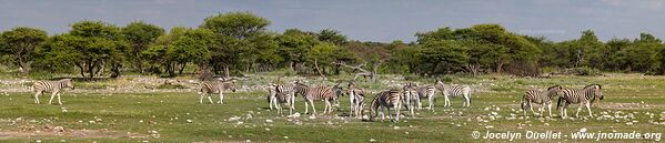 Etosha National Park - Namibia