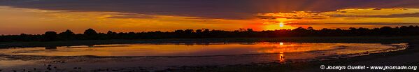 Parc national d'Etosha - Namibie