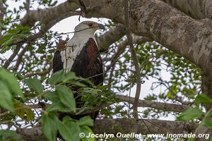 Bwabwata National Park - Caprivi Strip - Namibia