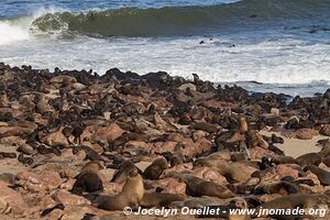 Cape Cross Seal Reserve - - Namibia