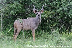 Zone Mahango - Parc national Bwabwata - Bande de Caprivi - Namibie