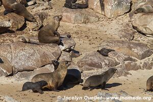 Cape Cross Seal Reserve - Skeleton Coast - Namibie