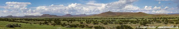 Palmwag - Damaraland - Namibie