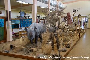 Swakopmund - Skeleton Coast - Namibie