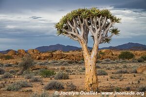 Northern section - Namib-Naukluft National Park - Namibia