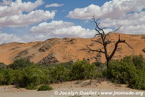 Section nord - Parc national de Namib-Naukluft - Namibie