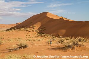 Northern section - Namib-Naukluft National Park - Namibia