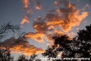 Northern section - Namib-Naukluft National Park - Namibia