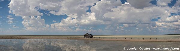 Parc national d'Etosha - Namibie