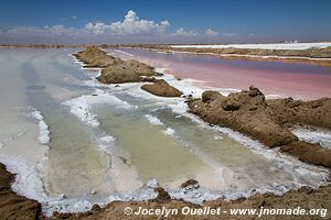 Walvis Bay - Namibie