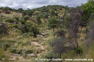 Daan Viljoen Game Park - Namibia