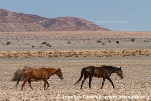 Namibie