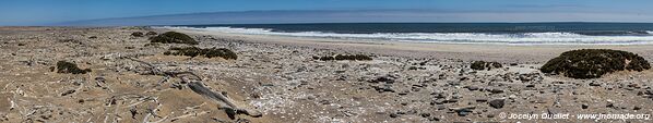 Skeleton Coast National Park - - Namibia