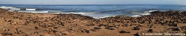 Cape Cross Seal Reserve - - Namibia