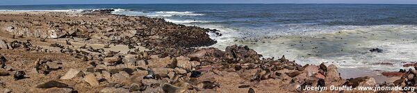 Cape Cross Seal Reserve - Skeleton Coast - Namibie