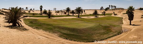 Dorob National Park - - Namibia