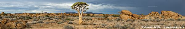 Northern section - Namib-Naukluft National Park - Namibia