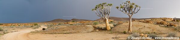 Northern section - Namib-Naukluft National Park - Namibia