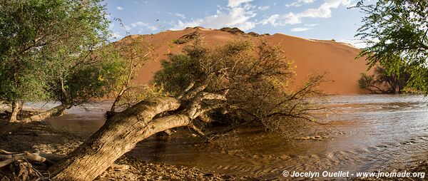 Section nord - Parc national de Namib-Naukluft - Namibie