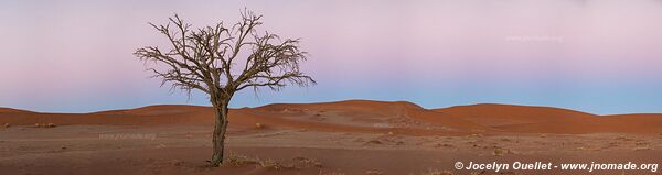 Sossusvlei - Parc national de Namib-Naukluft - Namibie