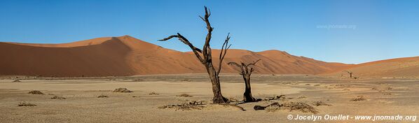 Sossusvlei - Parc national de Namib-Naukluft - Namibie