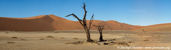 Sossusvlei - Namib-Naukluft National Park - Namibia