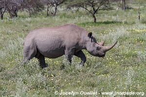 Etosha National Park - Namibia