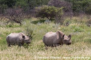 Etosha National Park - Namibia