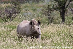 Etosha National Park - Namibia