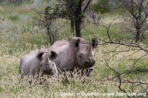 Etosha National Park - Namibia