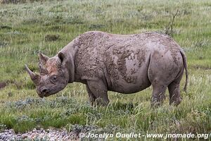 Etosha National Park - Namibia