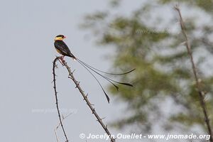 Etosha National Park - Namibia