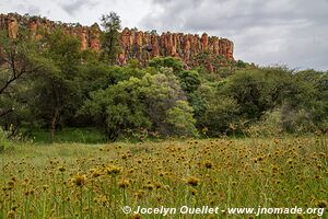 Waterberg Wilderness - Waterburg Plateau - Namibia