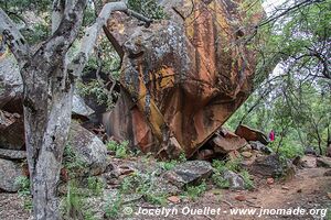 Waterberg National Park - Waterburg Plateau - Namibia