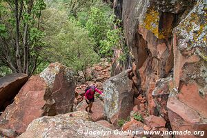 Parc national de Waterberg - Plateau de Waterburg - Namibie