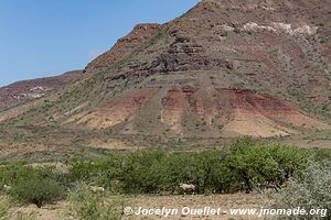 Kaokoveld - Namibia