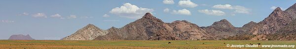 Kaokoveld - Namibie