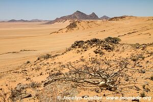 Vallée de Hartmann - Kaokoveld - Namibie