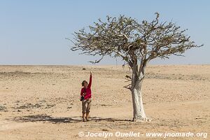 Kaokoveld - Namibia