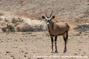 Kaokoveld - Namibia