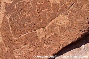 Twyfelfontein - Damaraland - Namibia