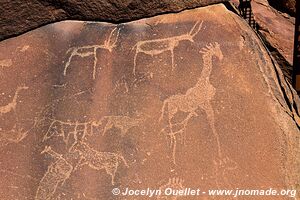 Twyfelfontein - Damaraland - Namibia