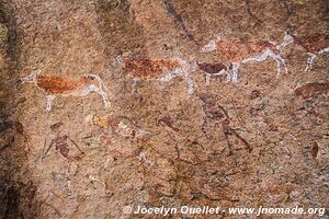 Massif du Brandberg - Damaraland - Namibie