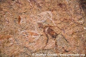 Massif du Brandberg - Damaraland - Namibie