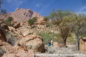 Massif du Brandberg - Damaraland - Namibie