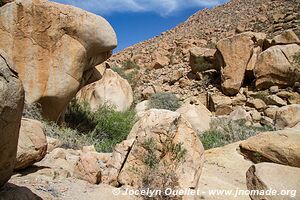 Massif du Brandberg - Damaraland - Namibie