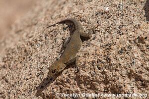 Brandberg Massif - Damaraland - Namibia