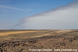 Parc national Skeleton Coast - Skeleton Coast - Namibie