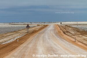 Dorob National Park - - Namibia