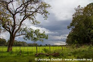 Shiwa Ng'andu - Zambia